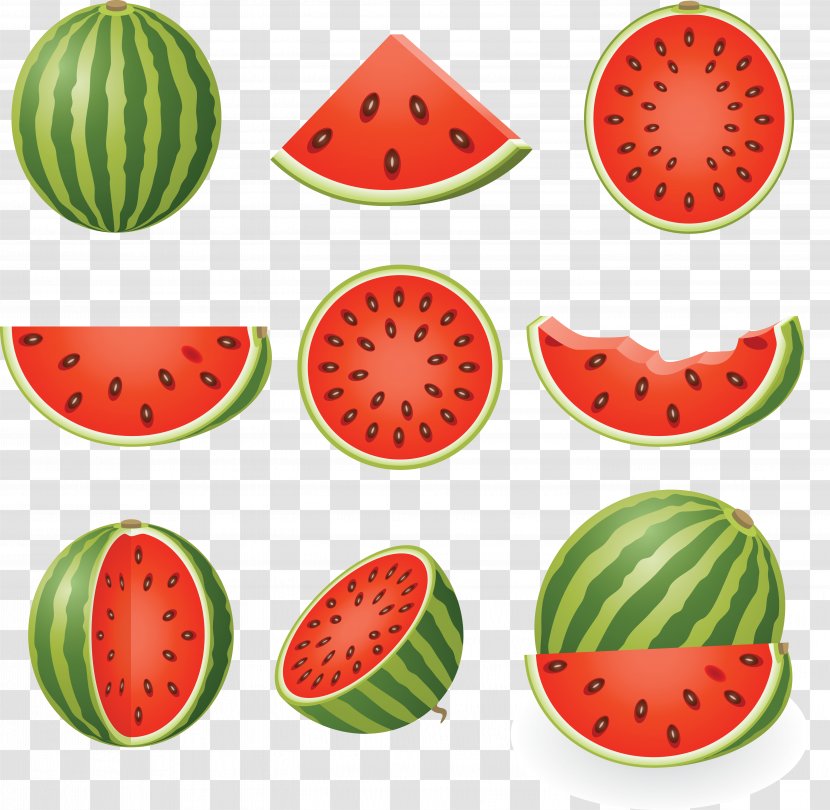 Watermelon Drawing Clip Art - Melon Transparent PNG