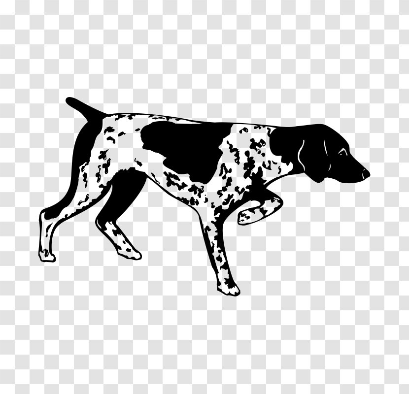 German Shorthaired Pointer Decal Pointing Breed Bird Dog - Mammal - DOG Transparent PNG
