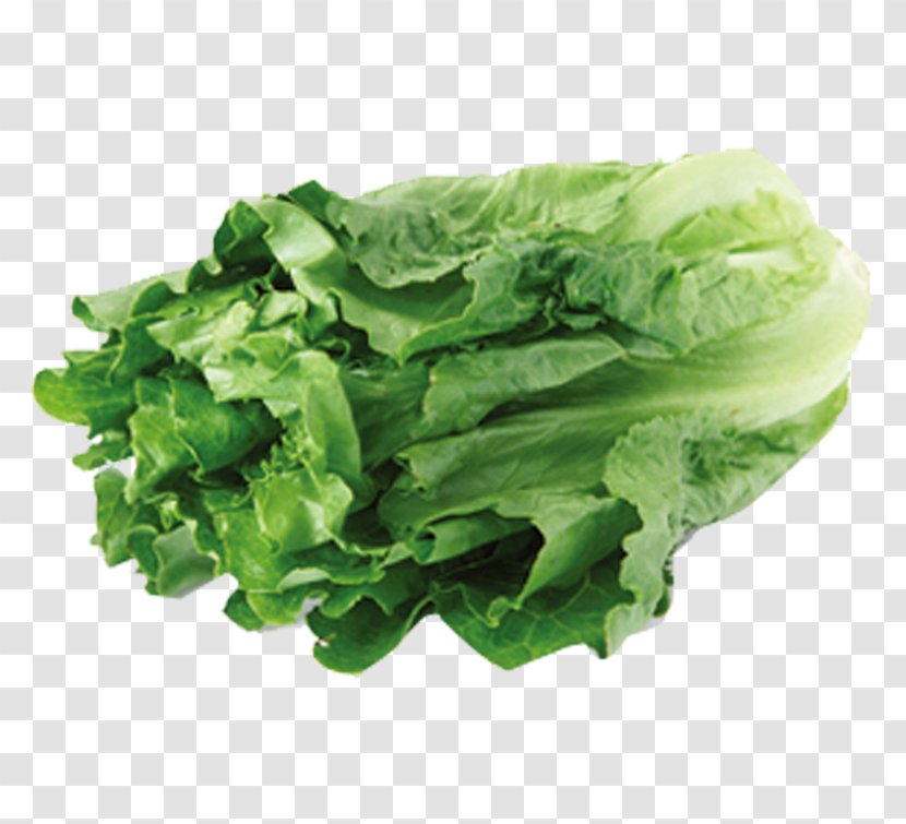 Leaf Vegetable Lettuce Food Nutrition - Meal - Green Vegetables Transparent PNG