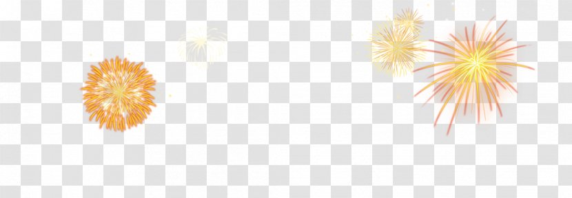 Petal Yellow Illustration - Text - New Year Lantern Chinese Decorative Elements Fireworks Effect Transparent PNG