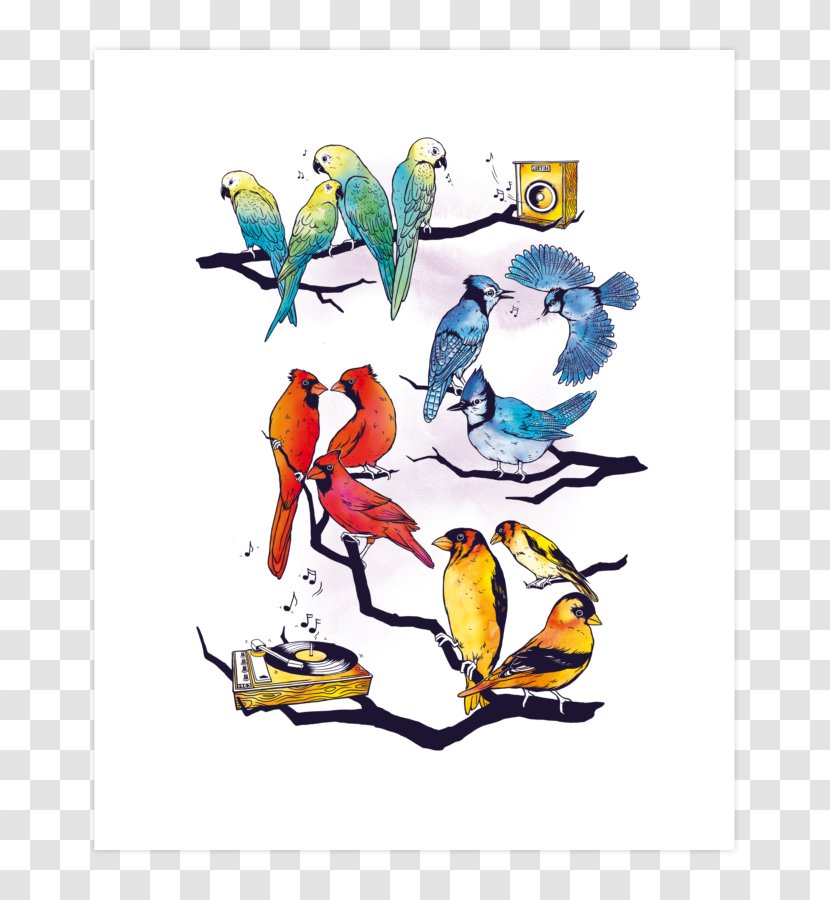Beak Graphic Design Bird Clip Art - Artwork Transparent PNG