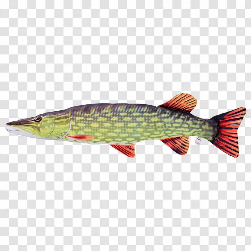 Northern Pike Salmon 09777 Perch Pikes - Bony Fish Transparent PNG