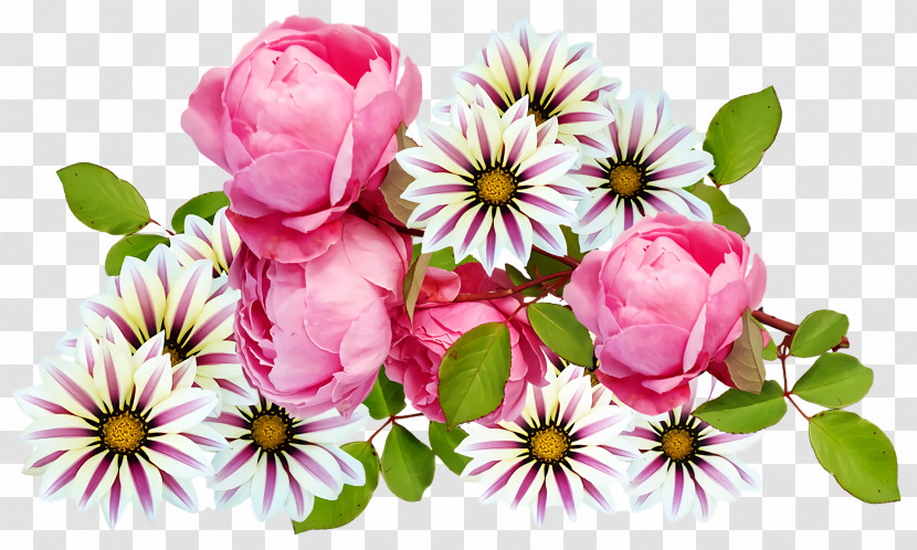 Floral Design Transparent PNG