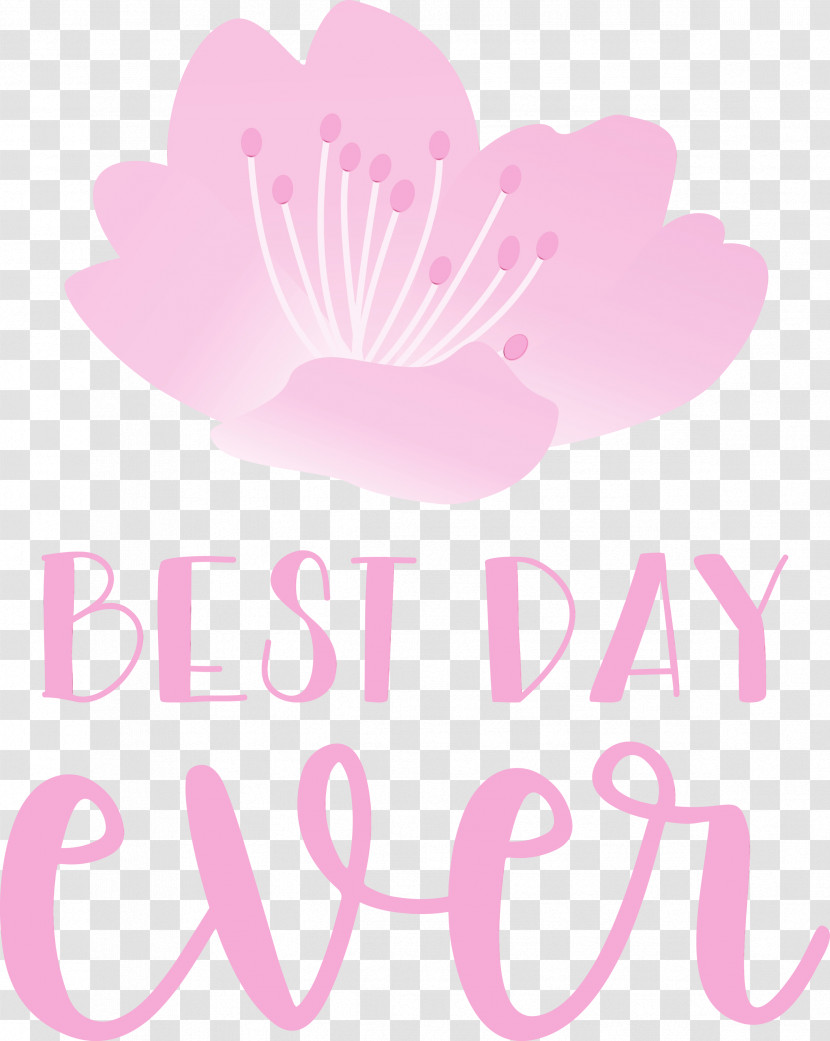 Floral Design Transparent PNG