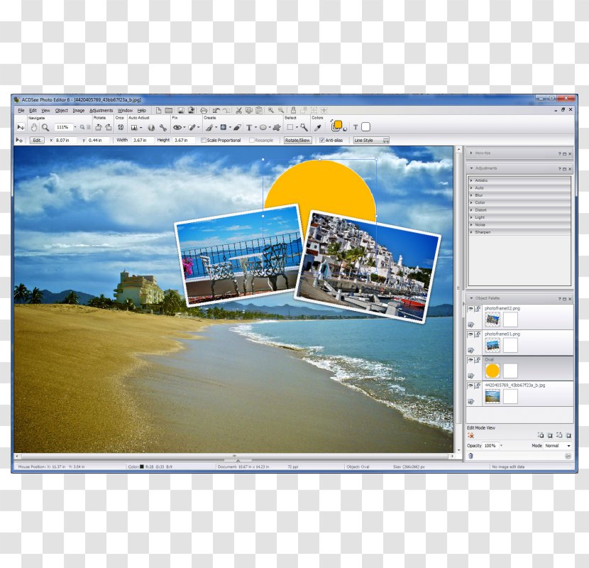 Computer Software ACDSee Editing Text Editor - Media - Acdsee Photo Transparent PNG