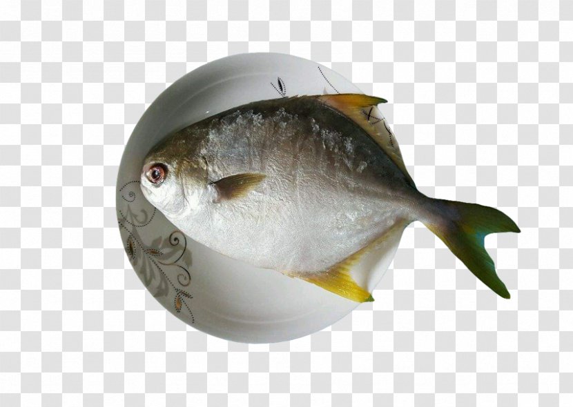 Japanese Butterfish Pampus Argenteus Pomfret - Seafood - A On Plate,Fish Material Transparent PNG