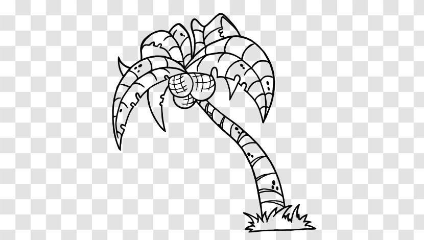 Arecaceae Coconut Coloring Book Tree - Rox Rouky Transparent PNG