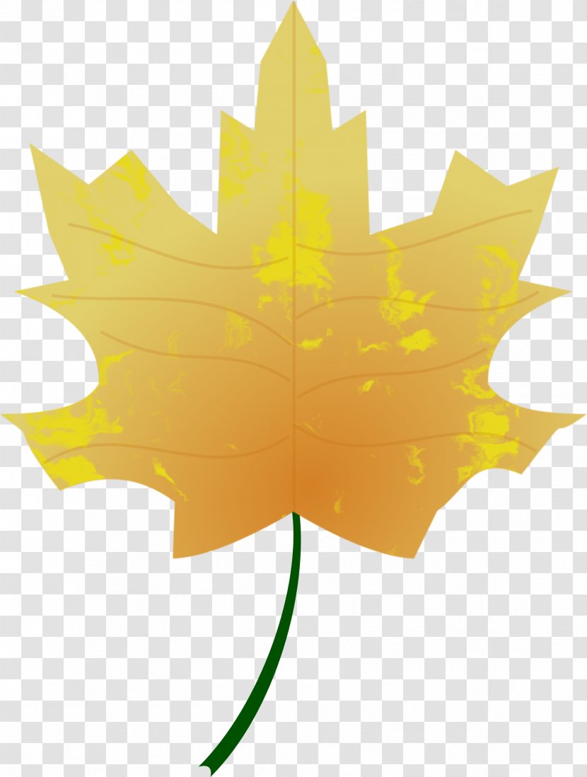 Autumn Leaf Color Tree - Symmetry Transparent PNG
