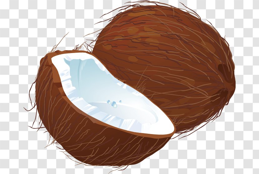 Coconut - Screenshot - Brown Transparent PNG