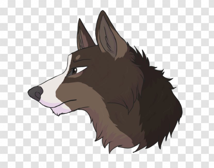 Dog Whiskers Snout Illustration Fur - Head Transparent PNG