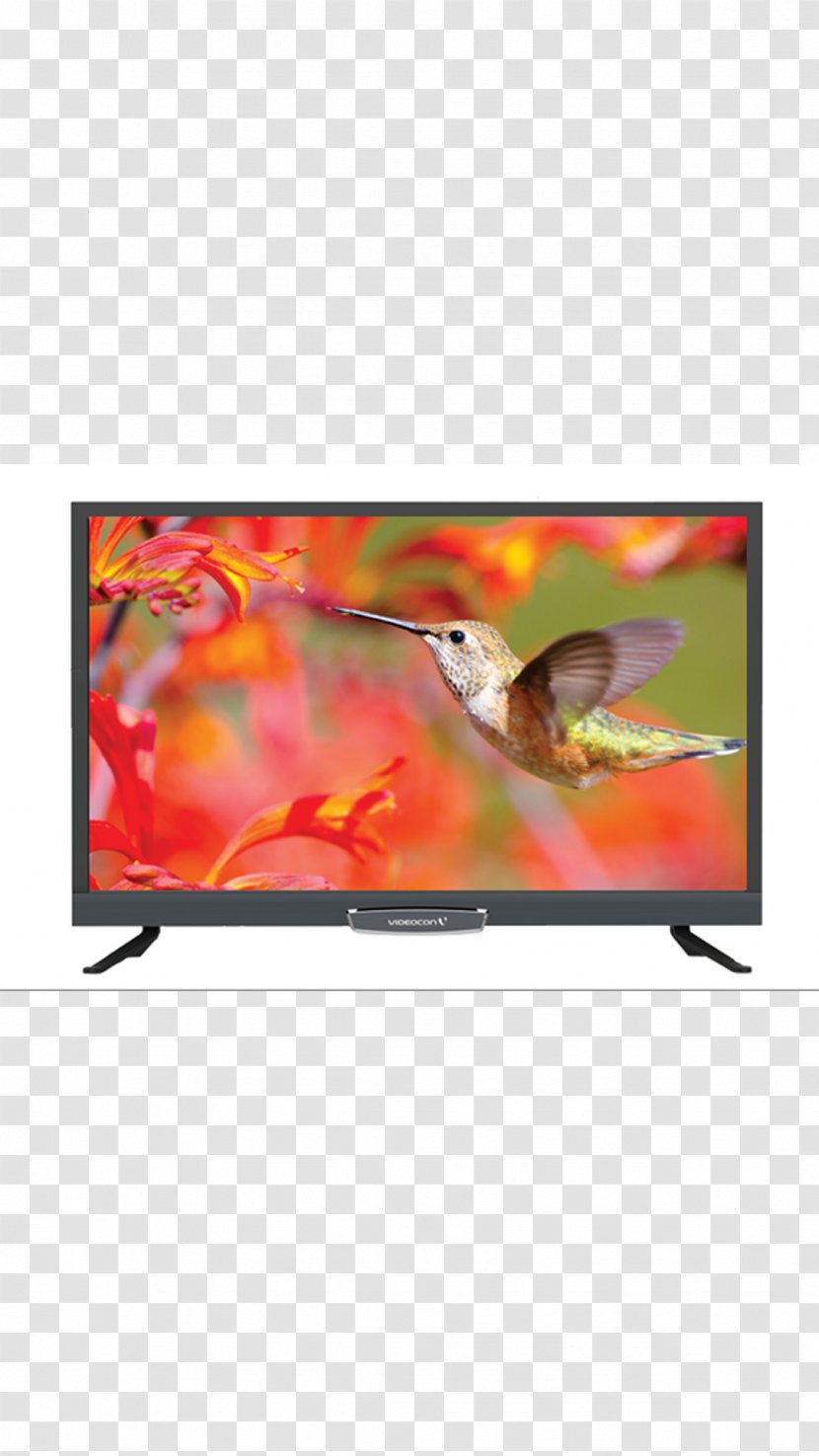 LED-backlit LCD Television Set HD Ready High-definition - Advertising - Led Tv Transparent PNG