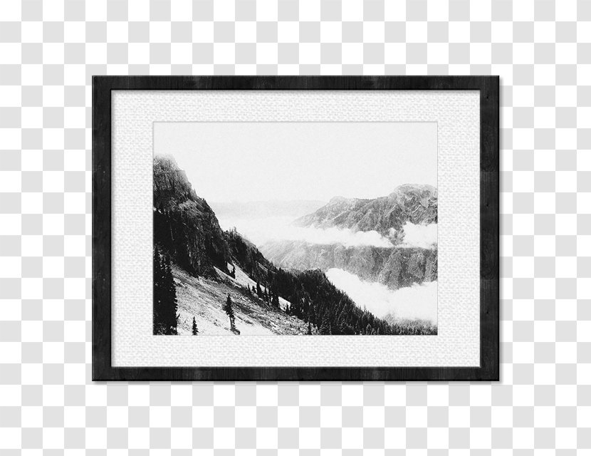 Black And White Nature Photography Picture Frames - Monochrome - Painting Transparent PNG