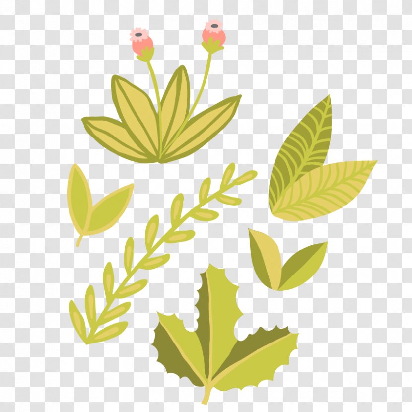 Leaf Photography Clip Art - Tree - Grass Green Leaves Transparent PNG