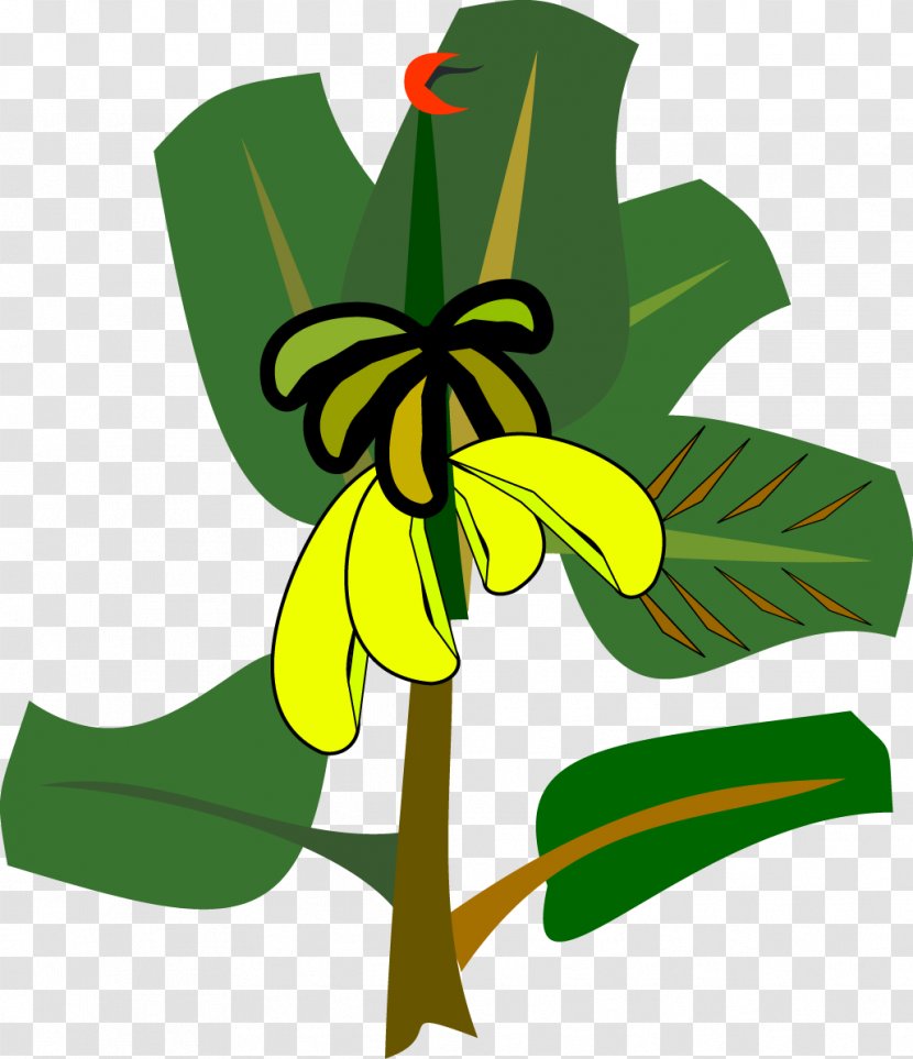 Banana Leaf Clip Art - Scalable Vector Graphics Transparent PNG