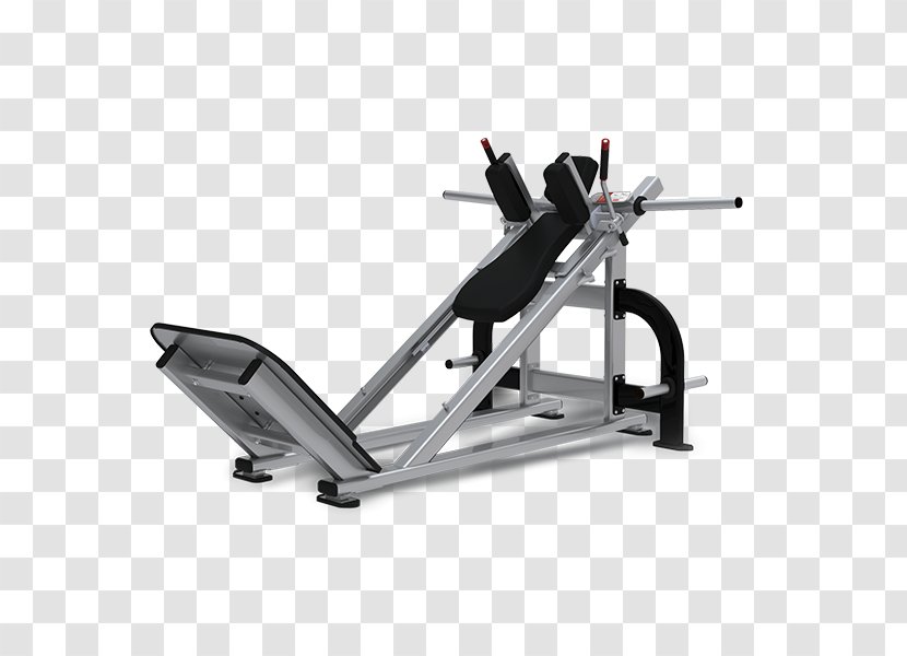 Squat Exercise Equipment Fitness Centre Physical - Hack Transparent PNG