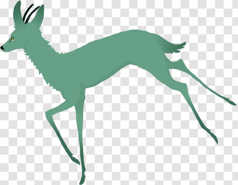 Kangaroo Cartoon - Pronghorn - Fawn Springbok Transparent PNG