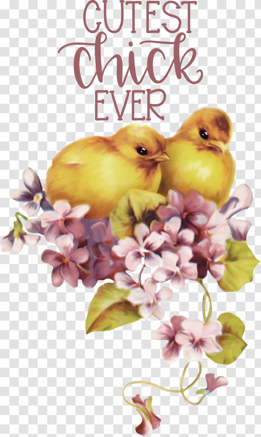 Happy Easter Cutest Chick Ever Transparent PNG