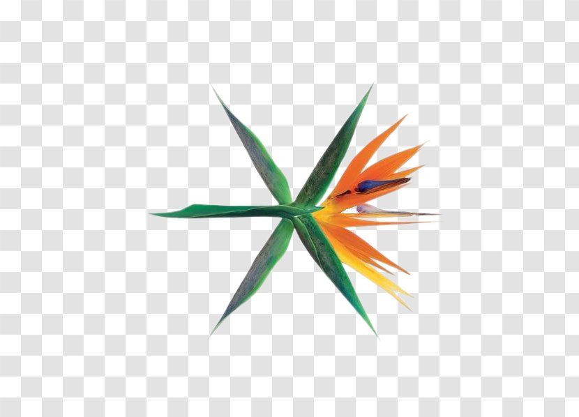 The War EXO Ko Bop Album Cover - Heart - Korean Flavor Transparent PNG