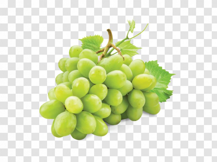 White Wine Sultana Grape Pinot Blanc Juice - Vitis Transparent PNG