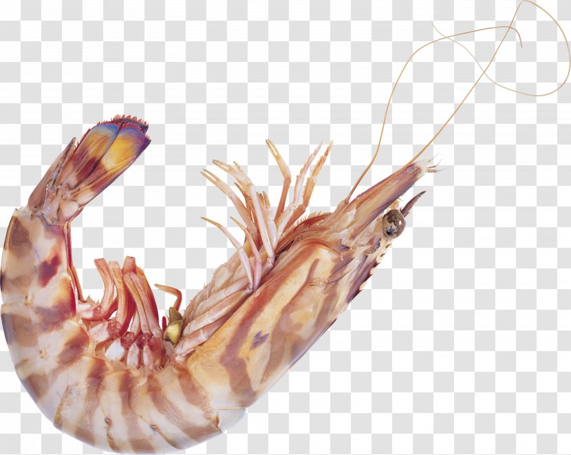 Tom Yum Shrimp Icon - Hand Transparent PNG