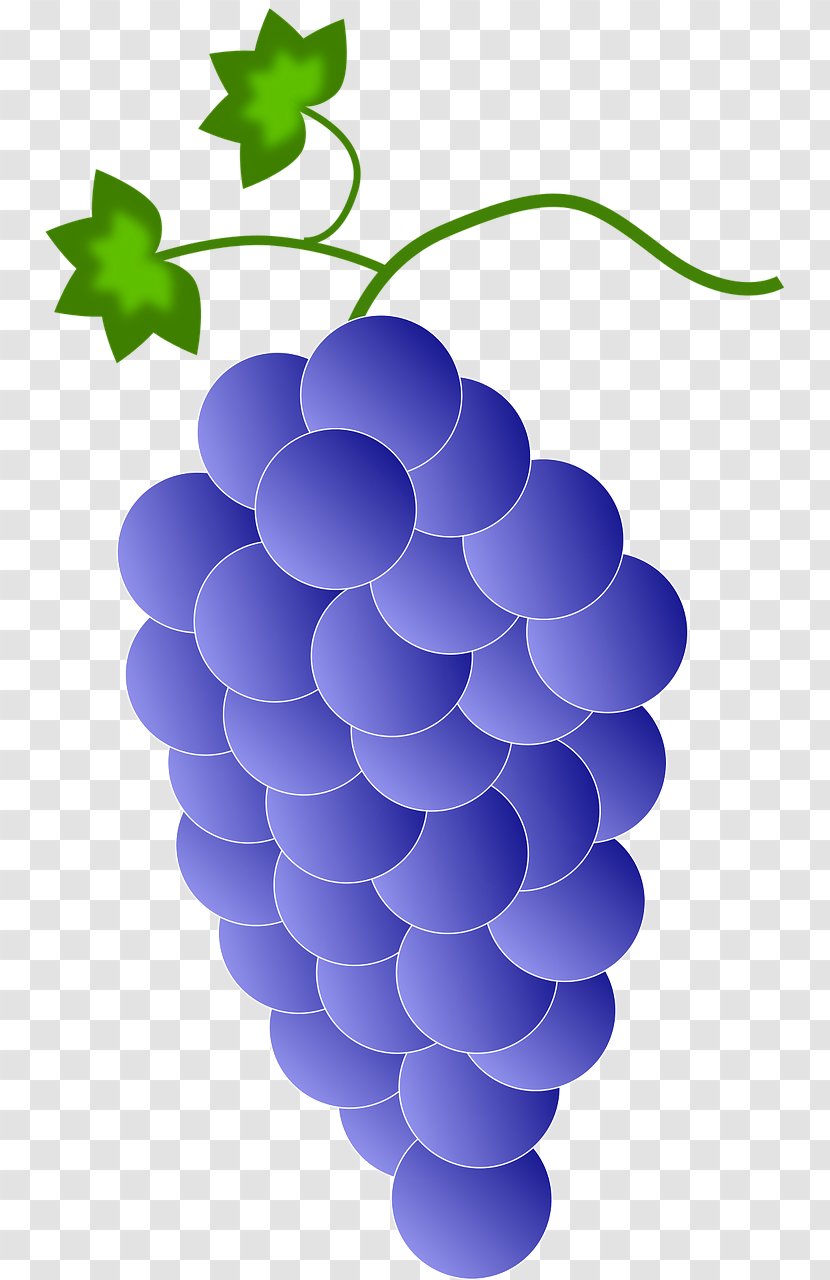 Red Wine Common Grape Vine Clip Art - Purple Cluster Transparent PNG