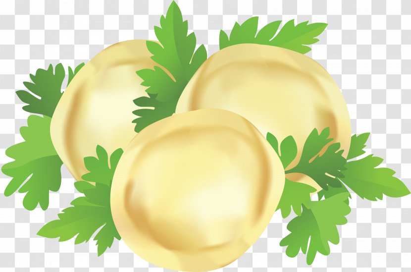 Pelmeni Vector Graphics Euclidean - Stock Photography - Greens Transparent PNG