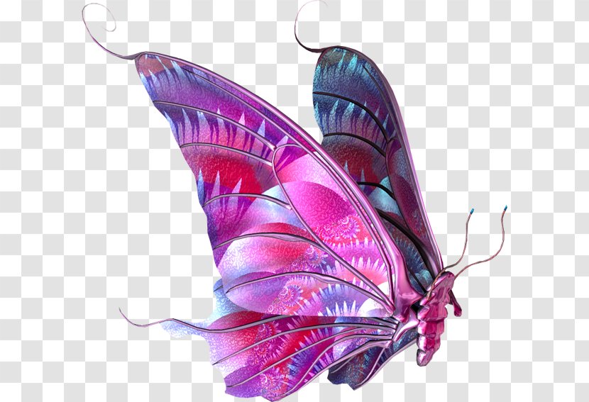 Butterfly Clip Art - Purple Transparent PNG