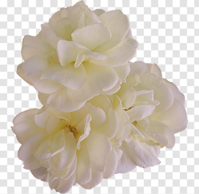 Rose Floral Design Cut Flowers Flower Bouquet - Pink Transparent PNG