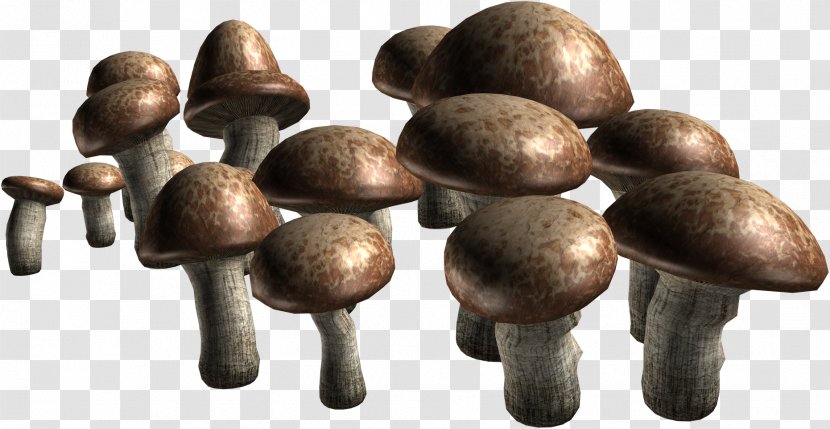 Edible Mushroom Fungus Agaricus Information - Parsley - Mantar Sepet Transparent PNG