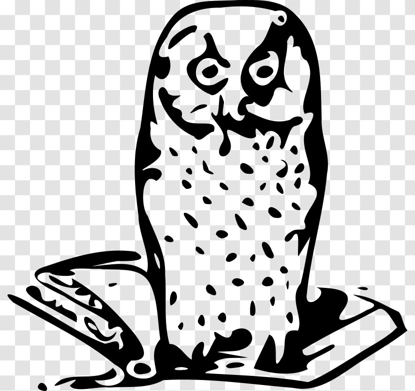 Clip Art - Organism - Harry Potter Owl Transparent PNG