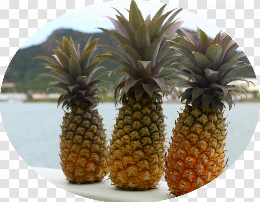 Pineapple Antigua Food Stuffing Juice - Oil Transparent PNG
