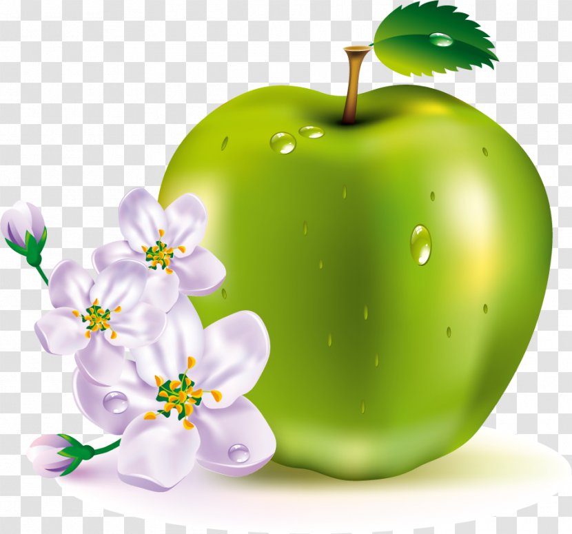 Apple Fruit Clip Art - Granny Smith Transparent PNG
