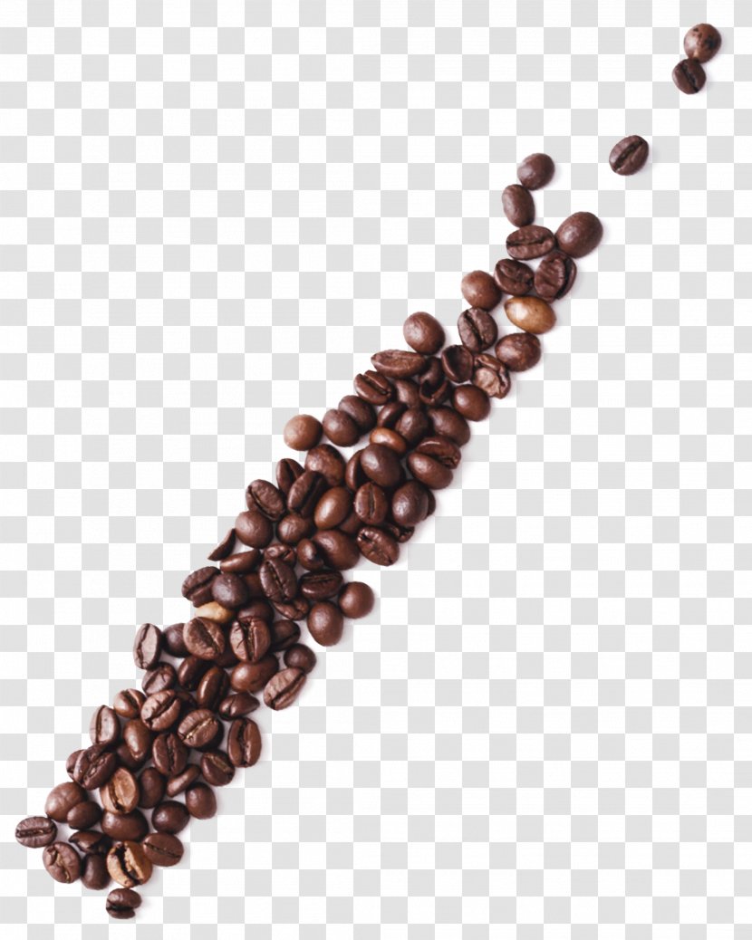 Coffee Bean Tea Cafe - Poster - Delicious Beans Transparent PNG