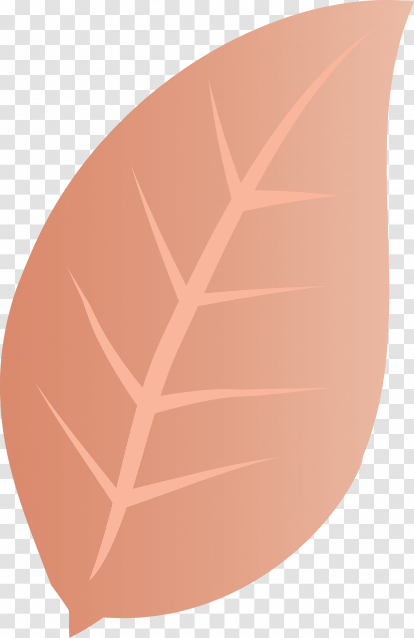 Leaf Angle Line Font Peach Transparent PNG
