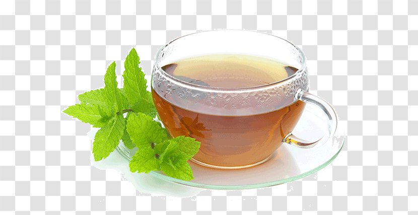 Maghrebi Mint Tea Peppermint Green Transparent PNG