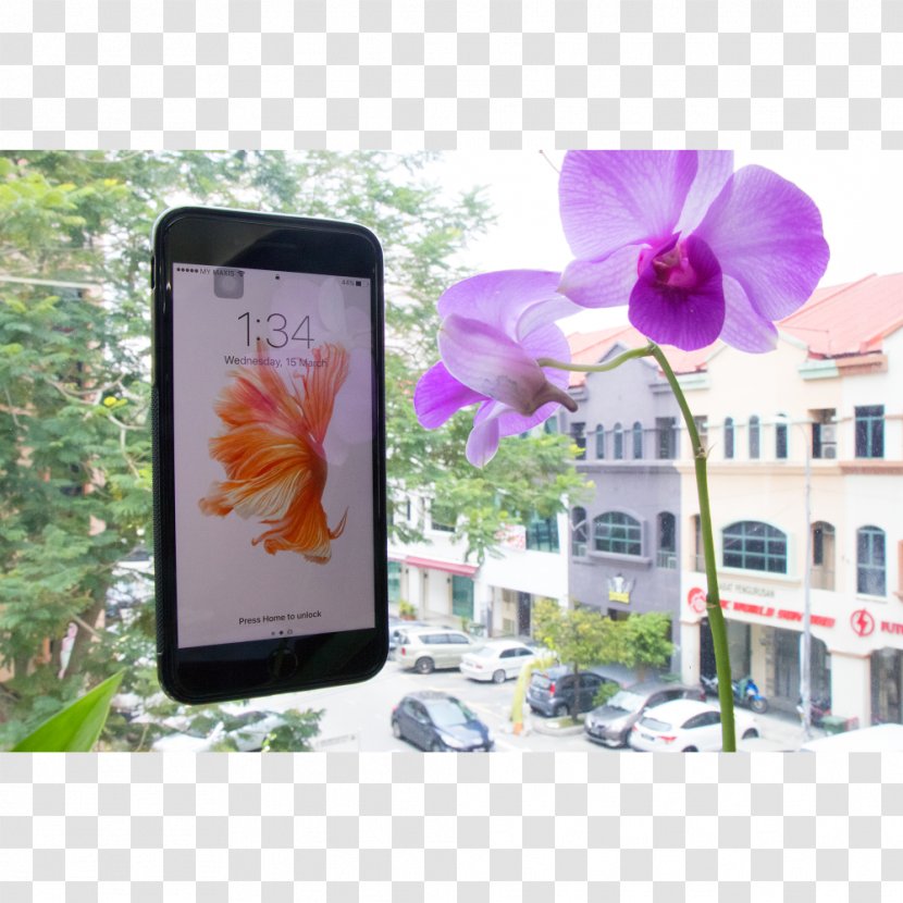 Purple Gadget Flower Cyan - Technology Transparent PNG