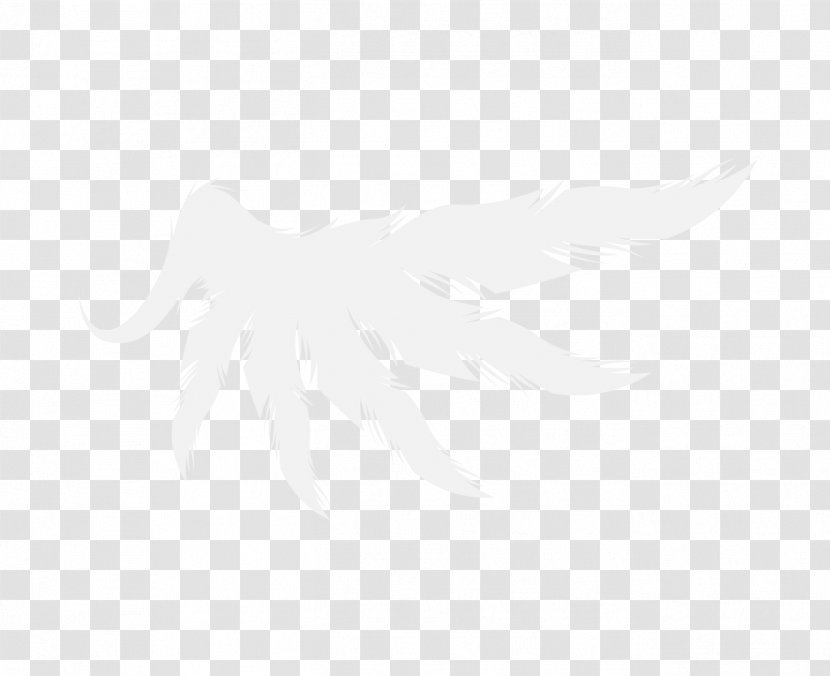 White Black Pattern - Monochrome Photography - Unilateral Wings Transparent PNG