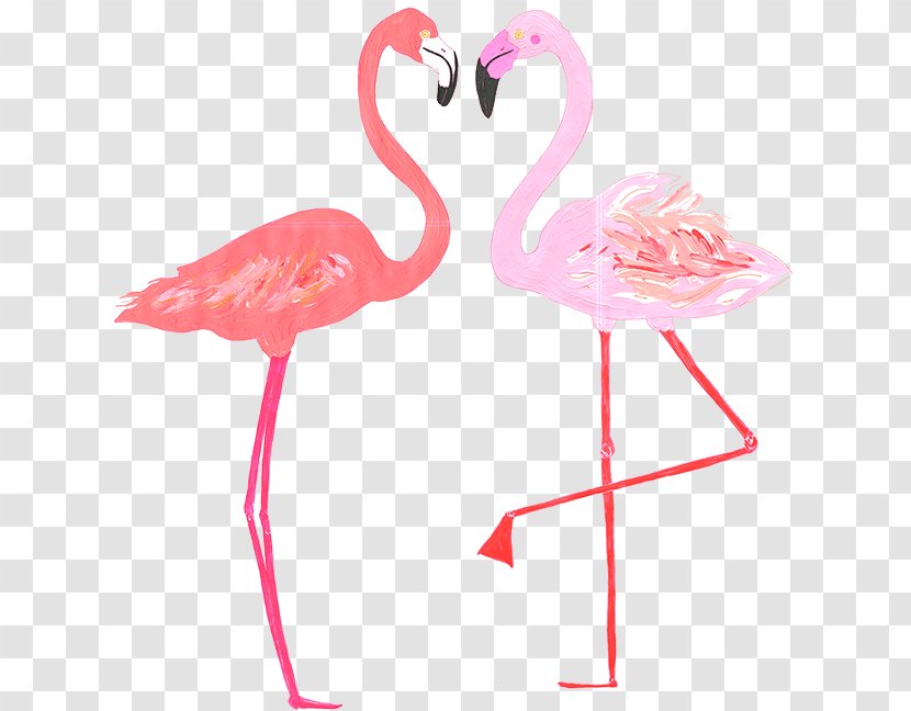 Babb Photo Flamingo - Pink Transparent PNG