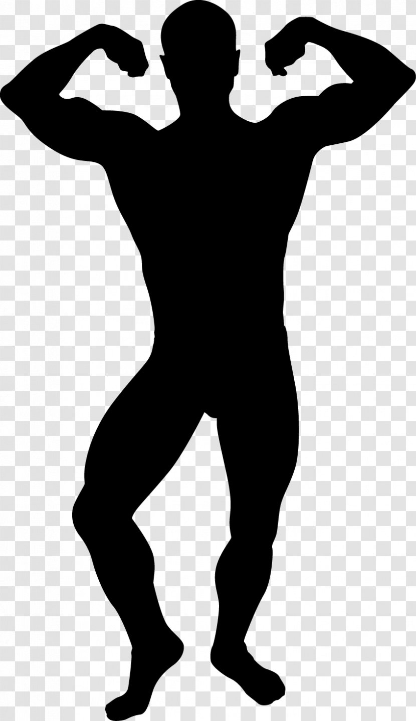 Fitness Cartoon - Powerlifting - Silhouette Standing Transparent PNG