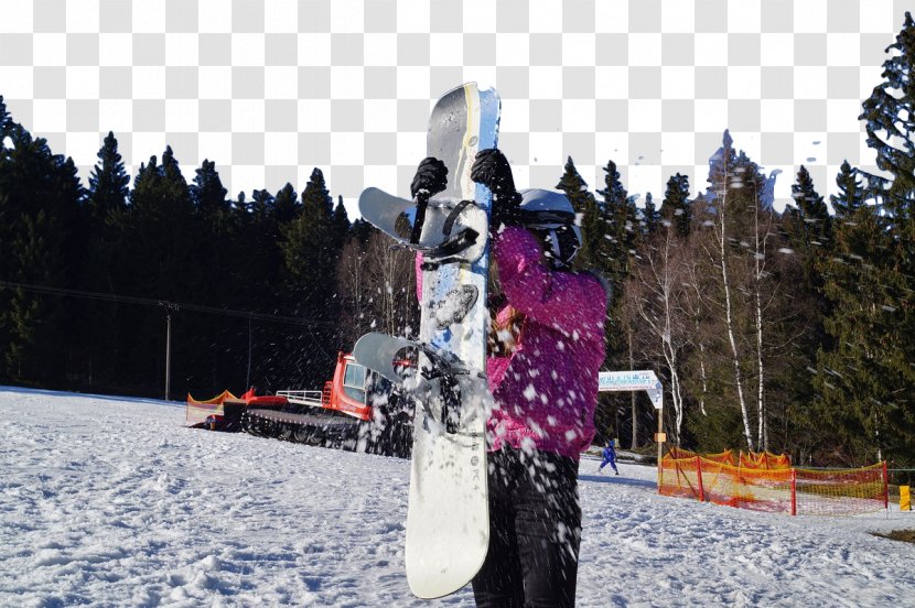Nordic Skiing Winter Sport Snowboarding - Vehicle Transparent PNG