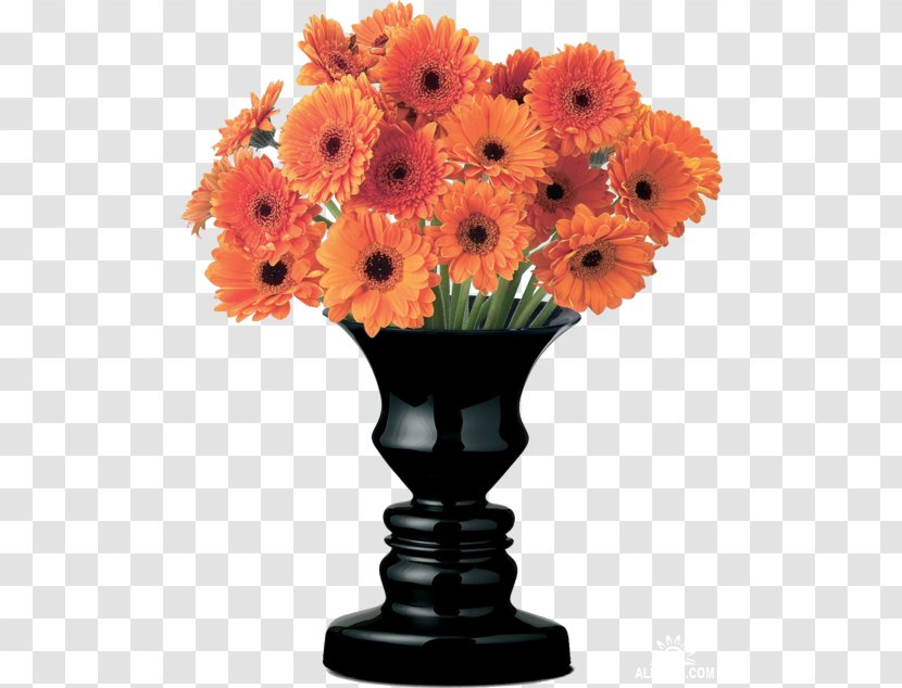 Chrysanthemum Cut Flowers Vase Oxeye Daisy - Transvaal Transparent PNG