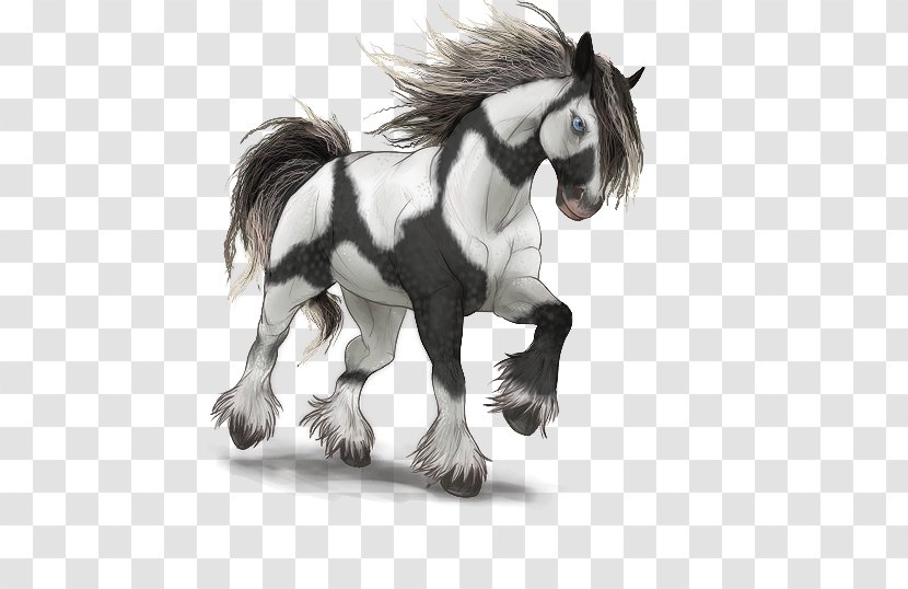 Mustang Stallion Mare Pony Pack Animal - Gypsy Horse Transparent PNG