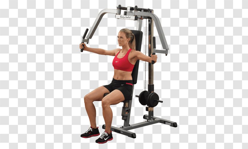 Bench Fitness Centre Exercise Strength Training Elliptical Trainers - Tree - Weightlifting Machine Transparent PNG