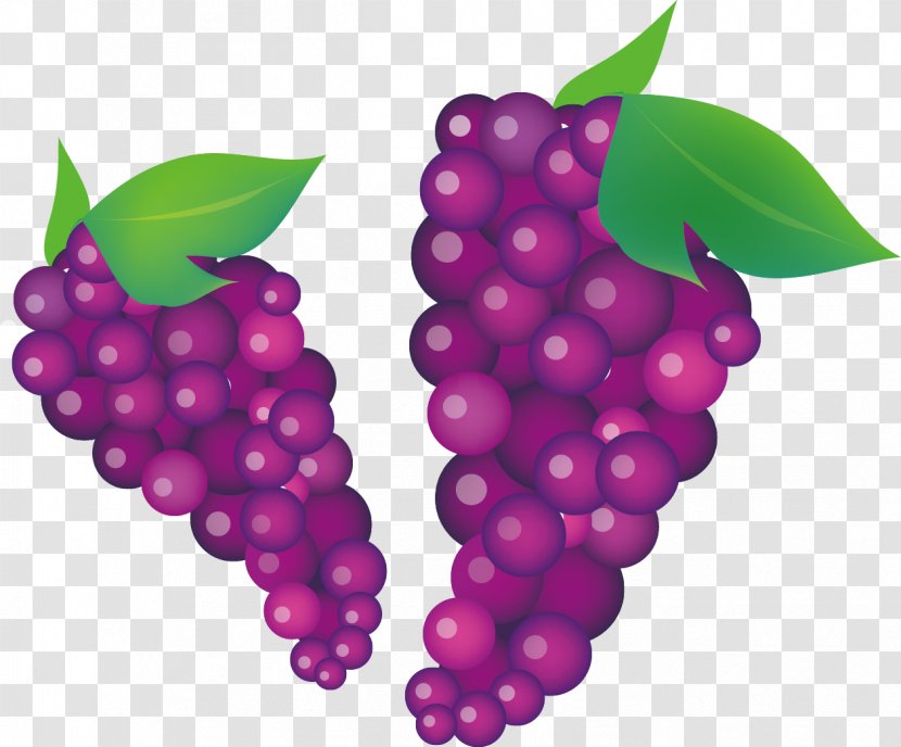 Common Grape Vine Wine Clip Art - Seedless Fruit - Autumn Life Icon Transparent PNG