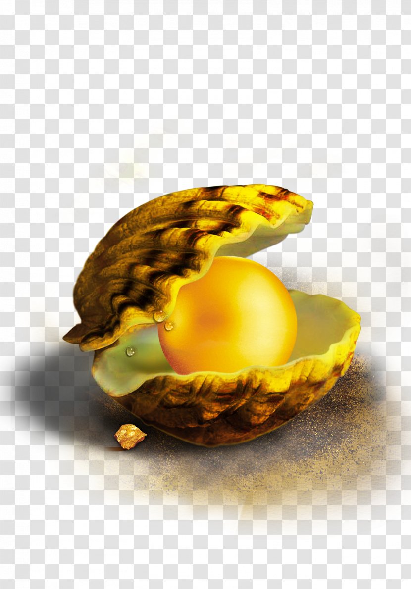 Seashell Pearl Vecteur Computer File - Food - Shell Transparent PNG