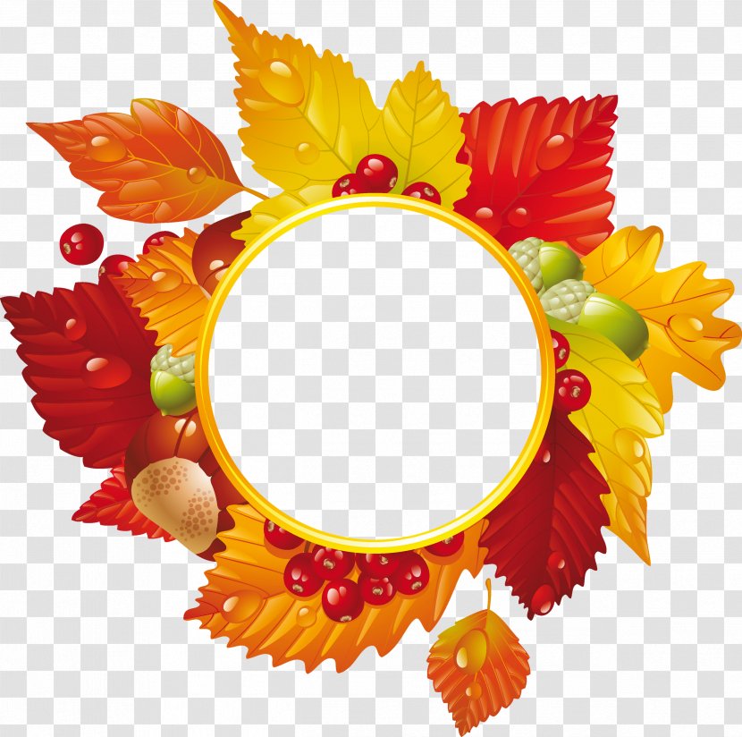 Autumn Graphic Design - Photography - Acorn Transparent PNG