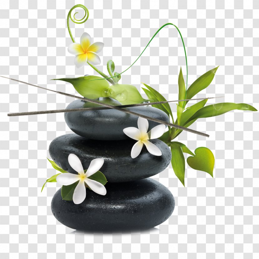 Frangipani Flower - Pebble - Vase Transparent PNG