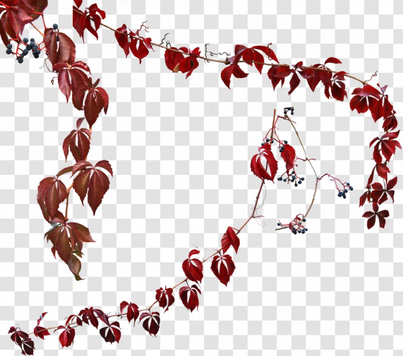 Heart Tree Flower - Frame Transparent PNG