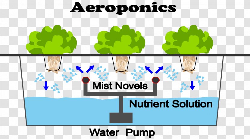 Aeroponics Hydroponics Agriculture System Organization - Watercolor - Hydroponic Grow Box Vegetables Transparent PNG