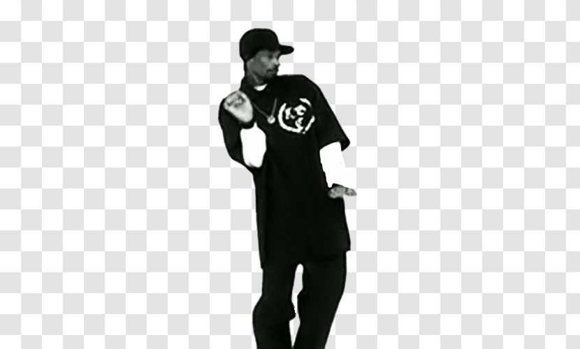 Chroma Key Dance - Flower - Snoop Dogg Transparent PNG